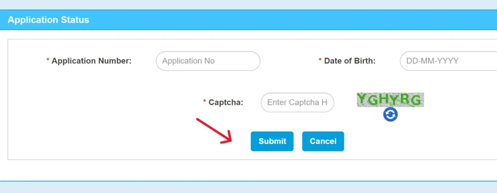 Driving Application Status